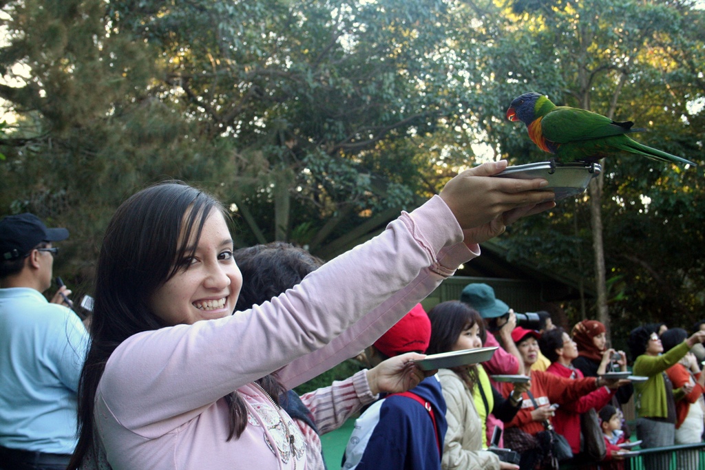 Connie and Lorikeet